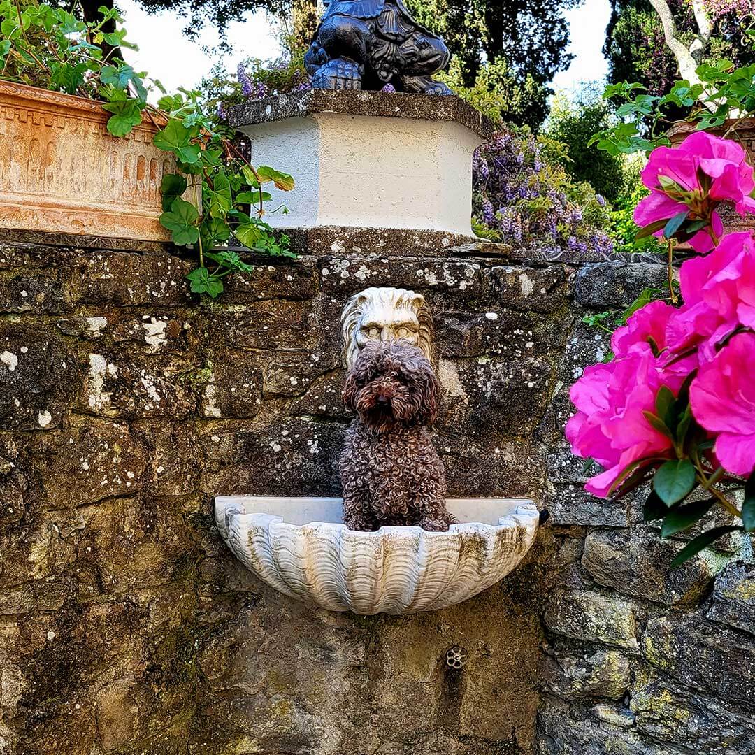 Barboncino appoggiato in una delle fontane nel parco della villa